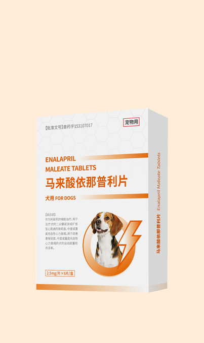 马来酸依那普利片